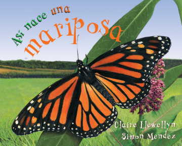Cover Así nace… una mariposa