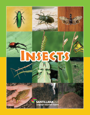 Cover Insects