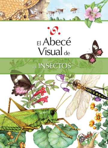 Cover El abecé visual de los insectos