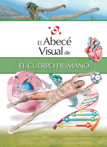 Cover El abecé visual del cuerpo humano