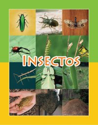 Cover Insectos