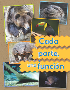 Cover Cada parte, una función